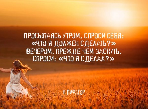 Цитаты про утро