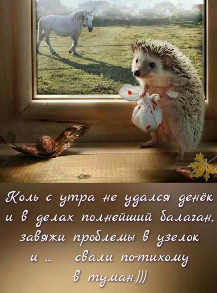 Цитаты с добрым утром