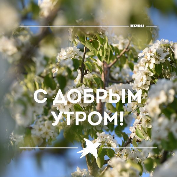 Доброе утро природа Весна с надписью