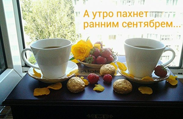 С добрым сентябрьским утром