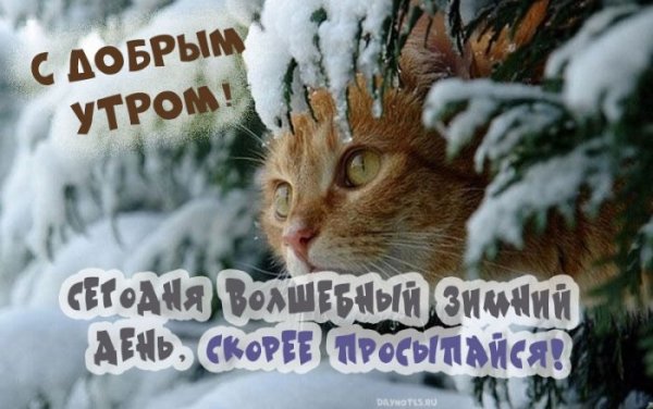 Доброе морозное утро понедельника