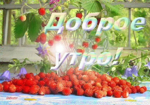 Открытки с добрым утром августа