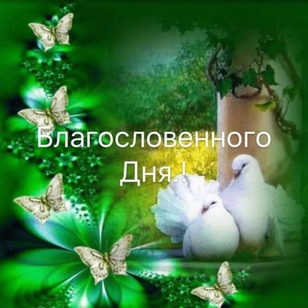 Лучи солнца