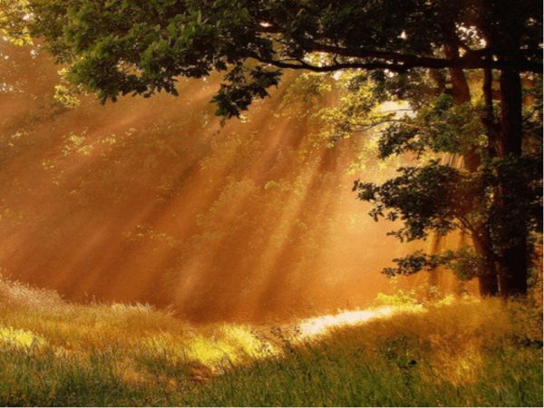 Христианские пожелания на новый день