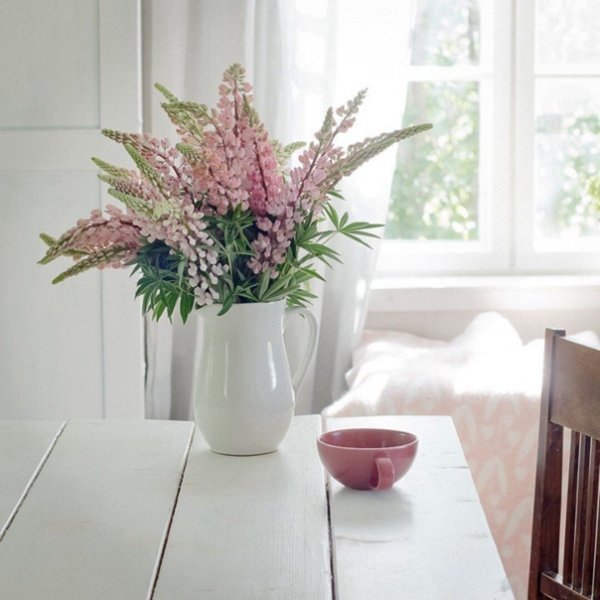 Бесшипная роза