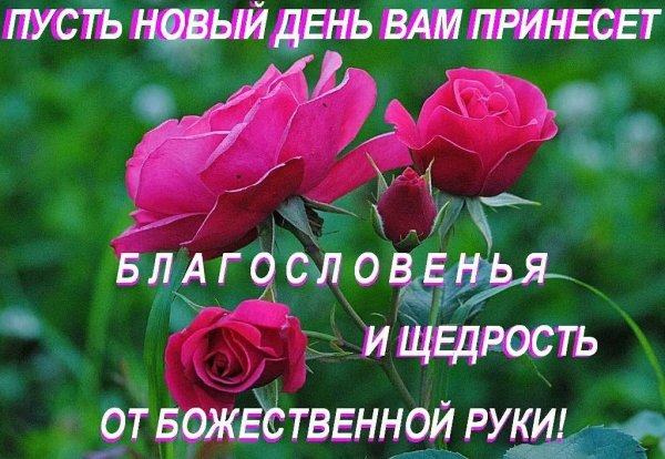 Букет полевых цветов в вазе