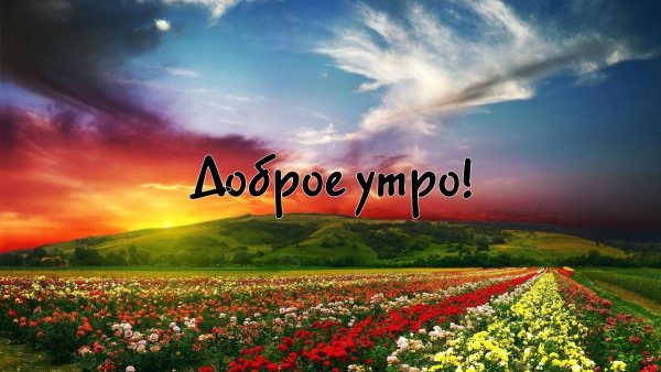 Картинки и фотографии с добрым утром