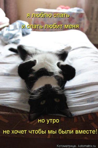 Доброе утро хочу спать