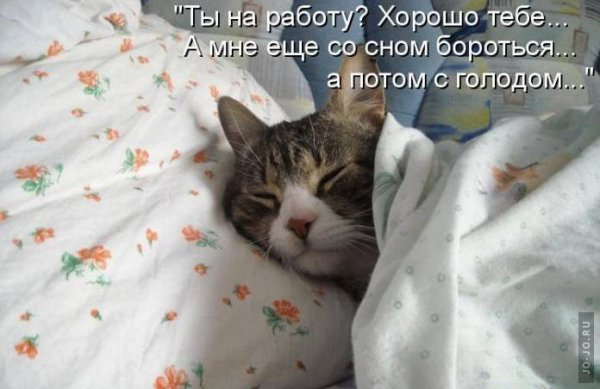 Доброе утро я спать