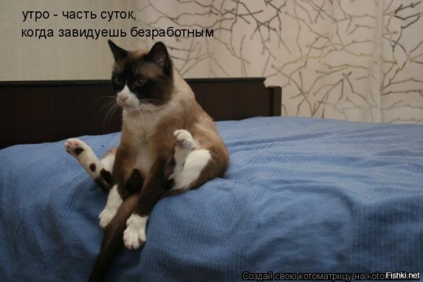 Где мой кофе