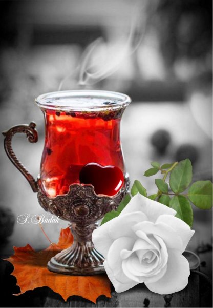 Розы в чашке