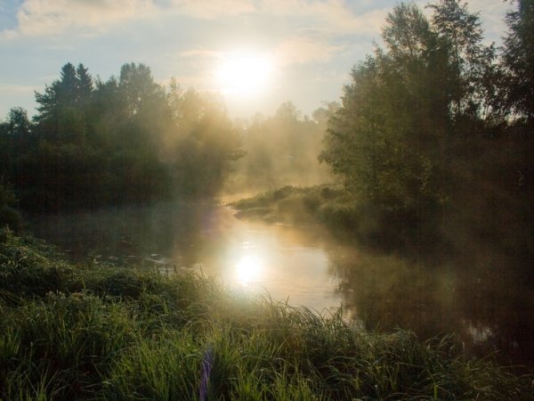 Жаркое солнечное утро