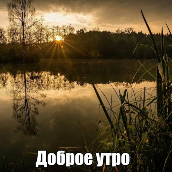 Доброе утро рыбаки