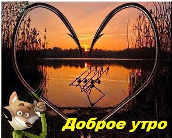 Доброе утро рыбаки