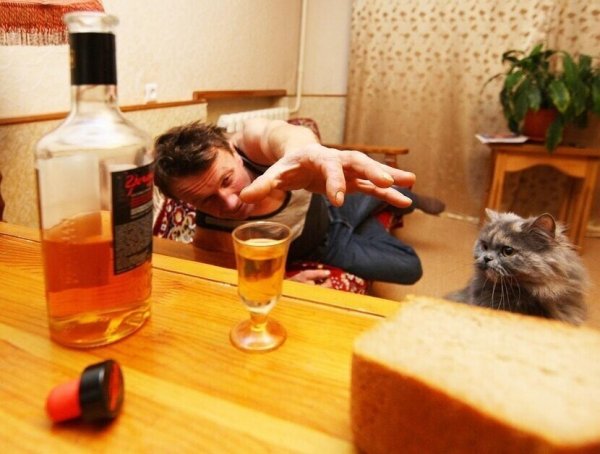 Суббота демотиватор