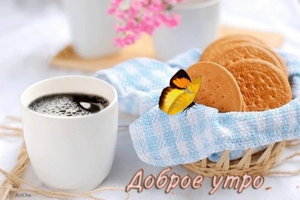 Доброе ветренное утро