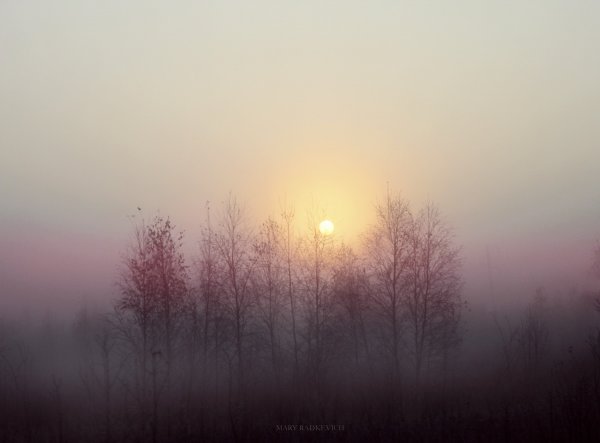 Серенькое утро