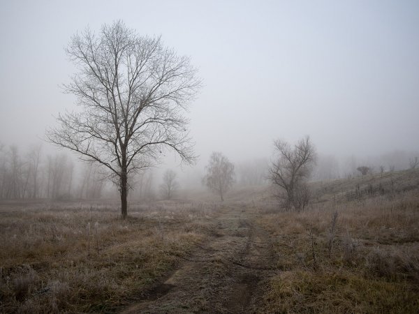 Серость в окне
