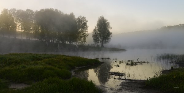 Доброе утро в голубых тонах
