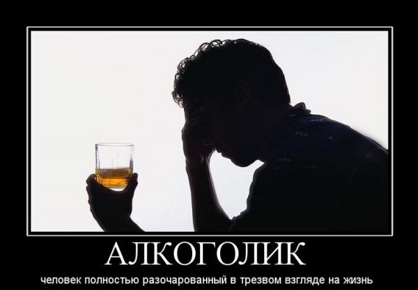 Коты бухарики