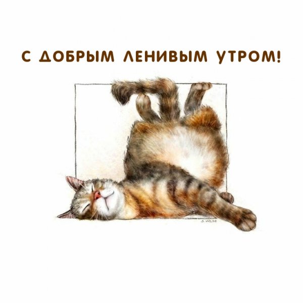 Доброе ленивое утро