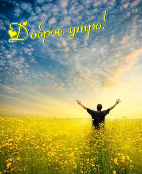 Солнце радость