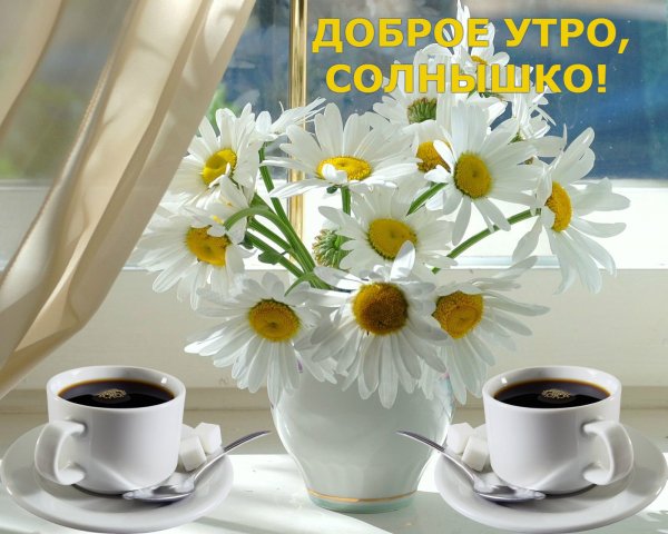 Доброе утро солнце