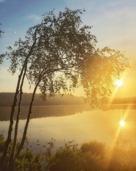 Красивое утро фото