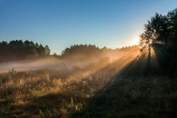 Романтическое утро