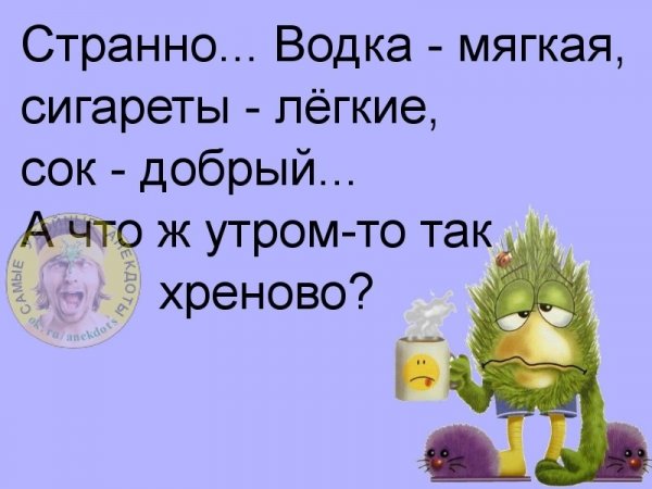 Анекдоты с добрым утром