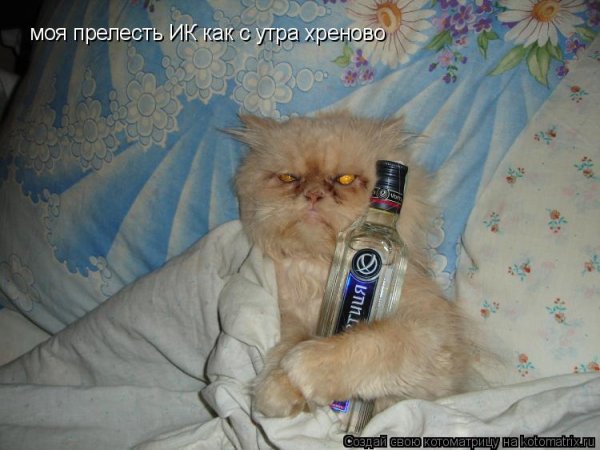 Птица счастья завтрашнего дня