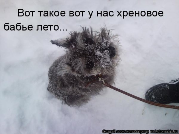 Хреновое лето