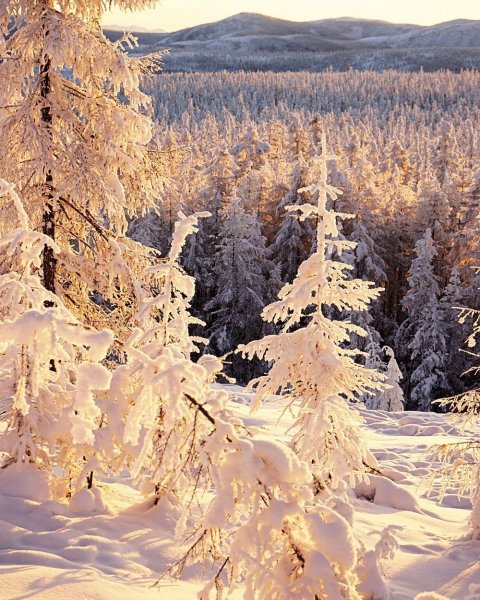 Зимнее утро в горах
