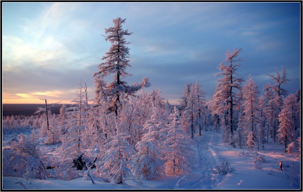 Якутия пейзаж зима
