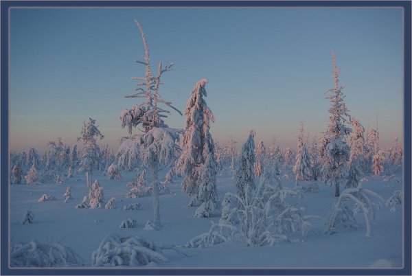 Зимний пейзаж Якутии Амма