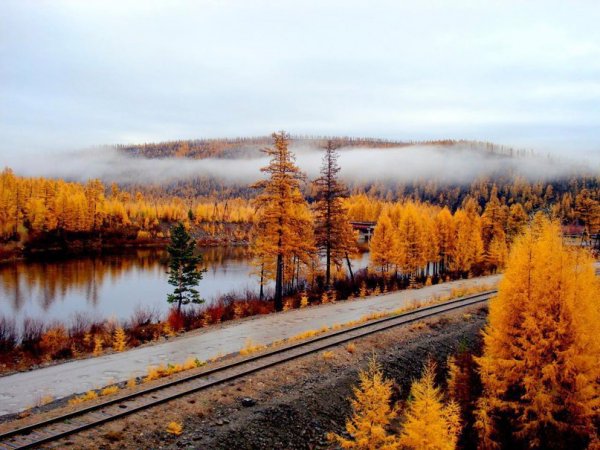 Река Якутск осень