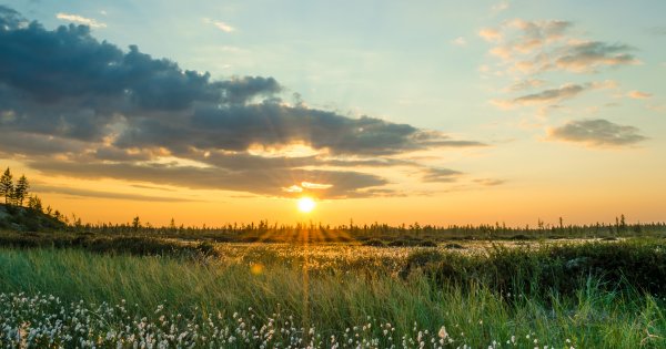 Фон природы Алаас Якутия
