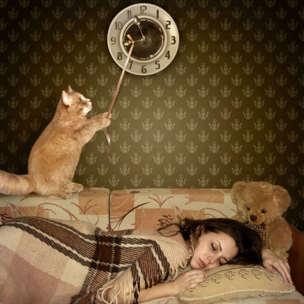 Кот будильник