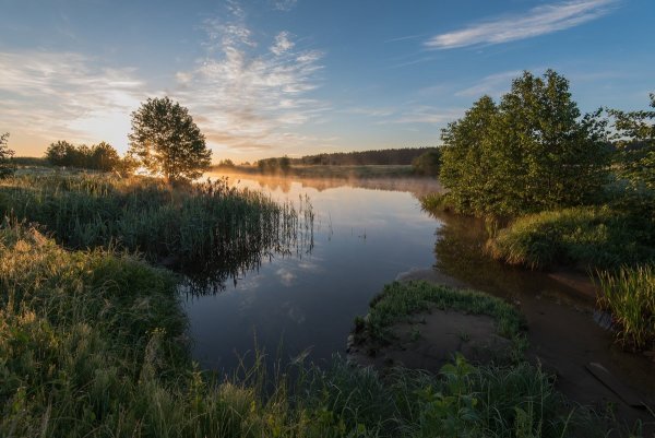 Река Буянка
