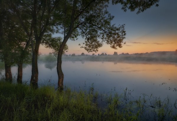Пасмурное утро