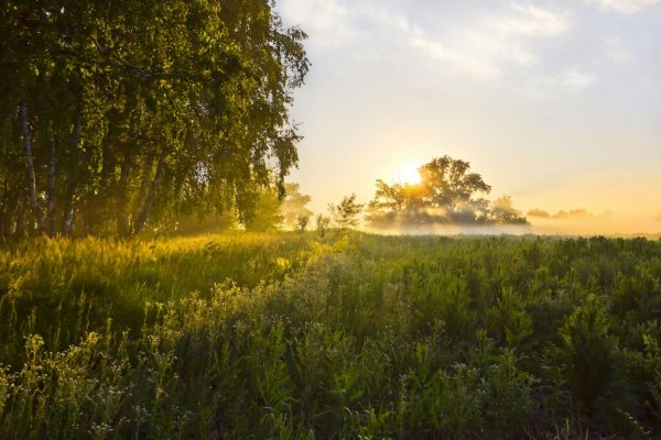 Утро туманное рассвет фото