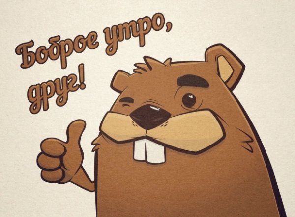 Доброе утро бобер
