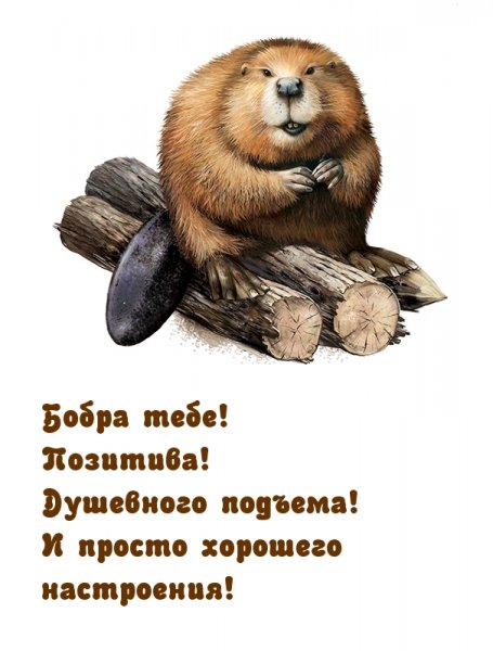 Доброго бобра