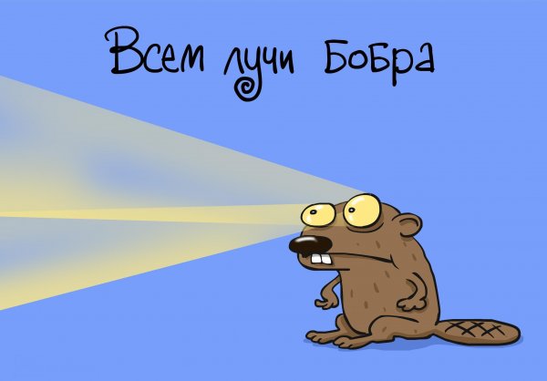 Всем бобра