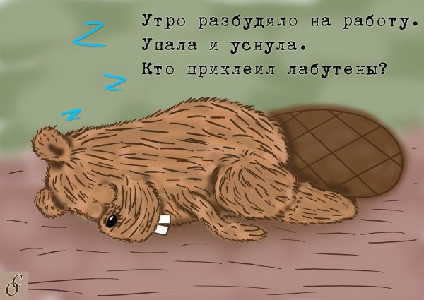 Доброе утро бобры