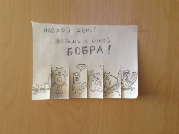 Добра бобра