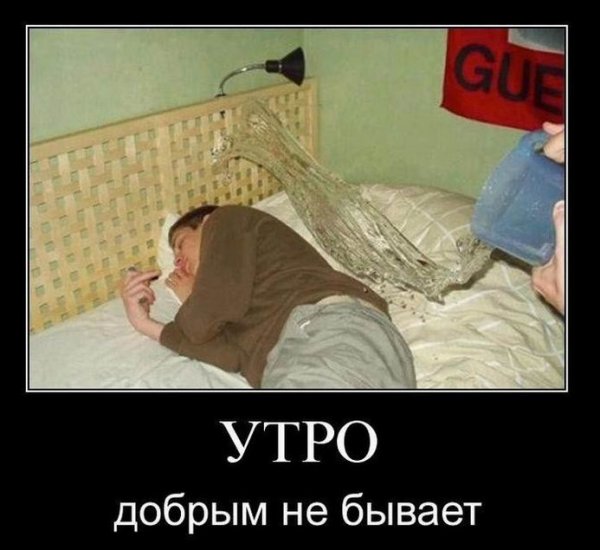 Утро добрым не бывает