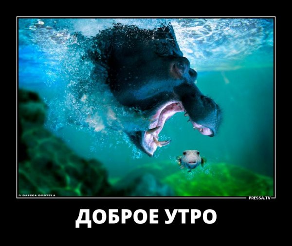 Яичница прикол