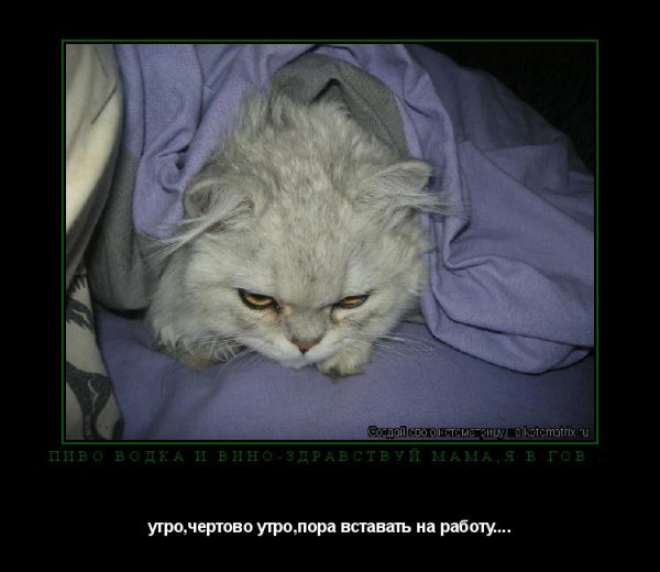 Утро пора вставать
