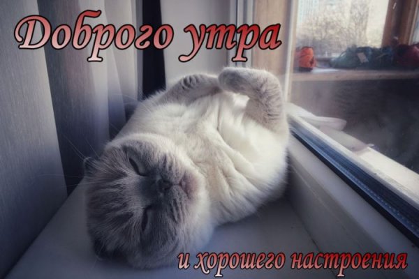 С добрым утром котики с надписями